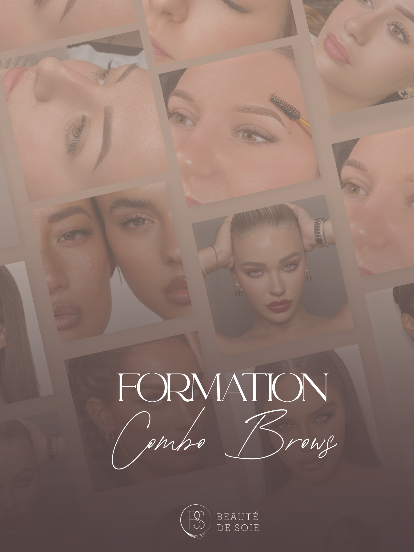 Combo Brows (ombre & hairstroke)
