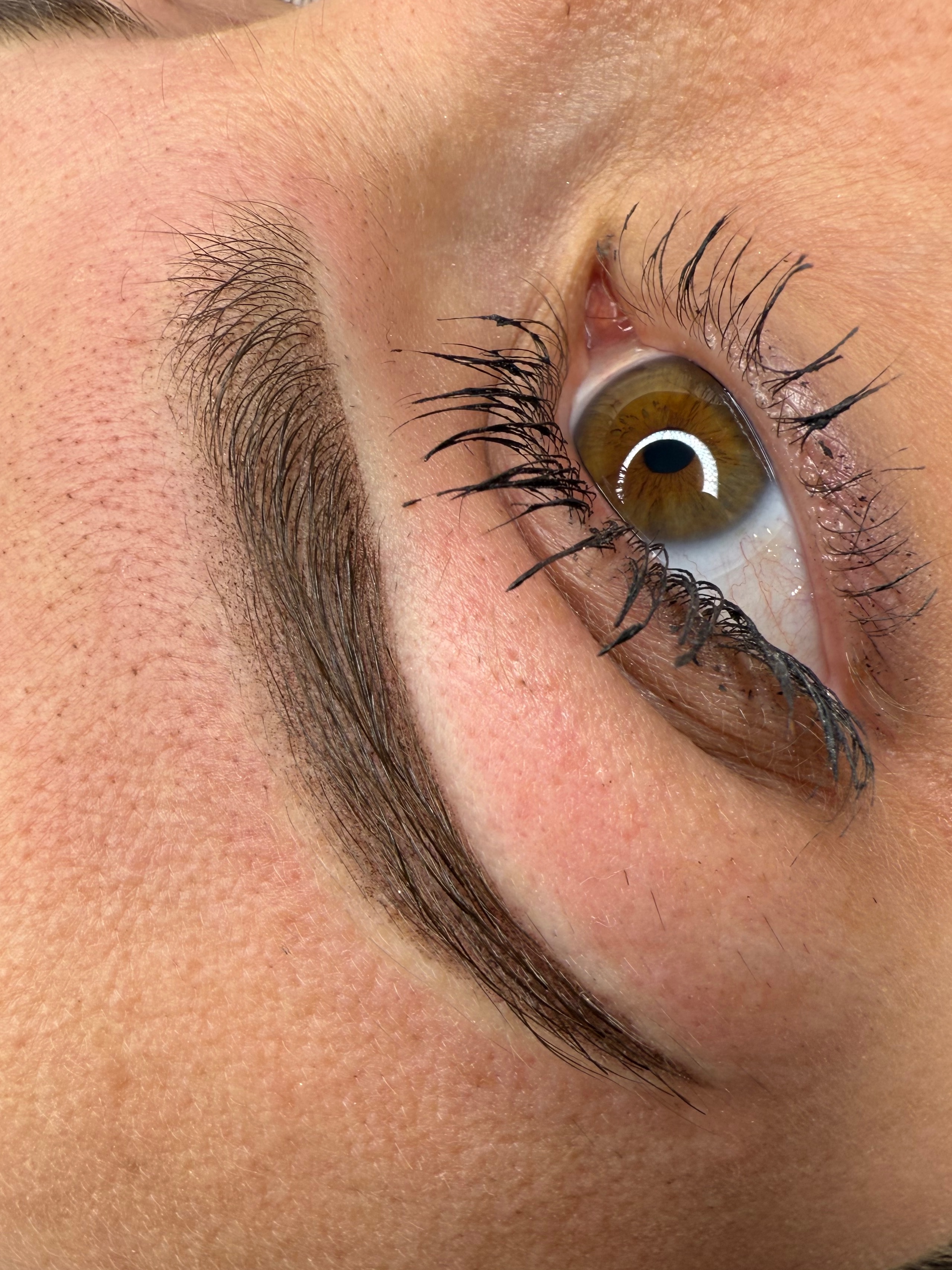 Initiation sourcils poudrés 
